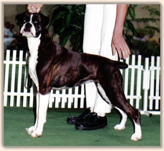 ebby.jpg - 28753 Bytes