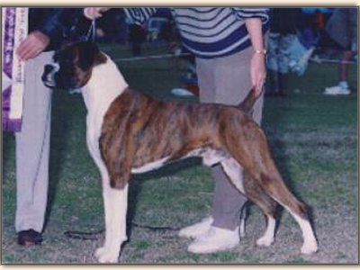 gerry.jpg - 27319 Bytes